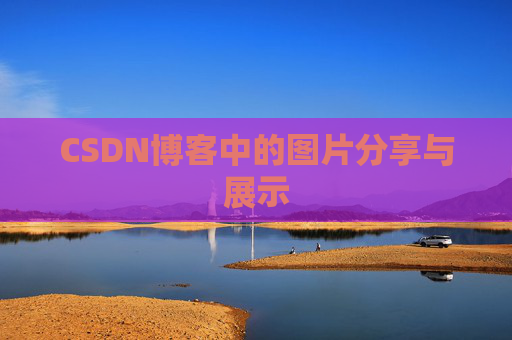 CSDN博客中的图片分享与展示